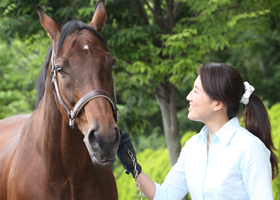 5級ライセンス取得 乗馬体験ご案内 服部緑地振興協会 大阪の乗馬レッスン スクール